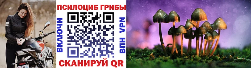 это Telegram Емва Галлюциногенные грибы Cubensis